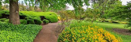 Japanese Garden - Cowra 